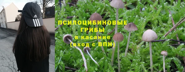 MDMA Вязьма