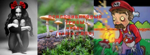 MDMA Вязьма