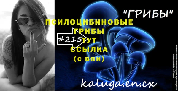 круглые Вяземский