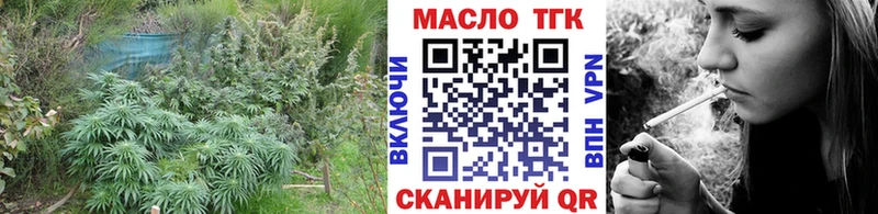 ТГК вейп с тгк  Купить закладки  Пустошка 