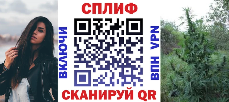Бошки Шишки планчик  Купить  Пустошка 